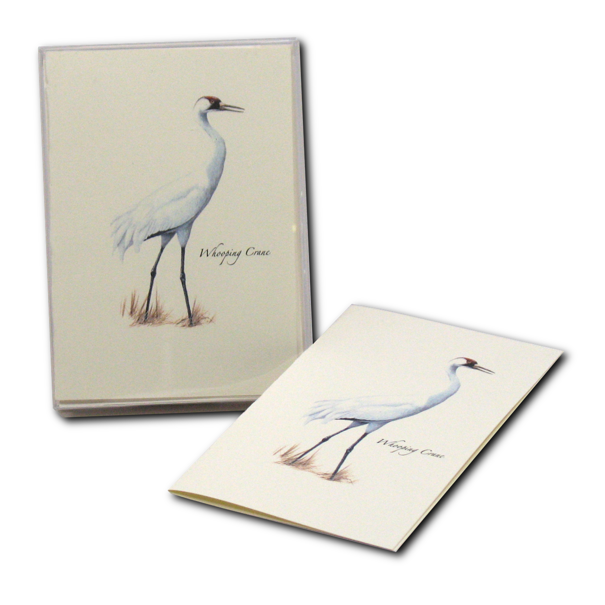 Whooping Crane Boxed Notes